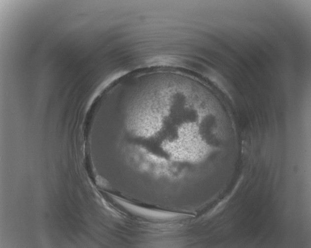 X0000080201117200612152033