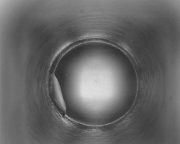 X0000080201119200612152033