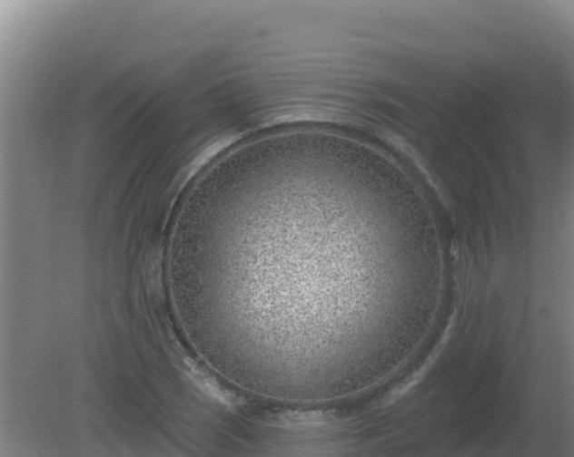 X0000080201121200612152033