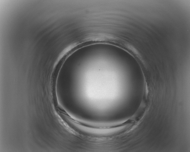 X0000080201122200612152033