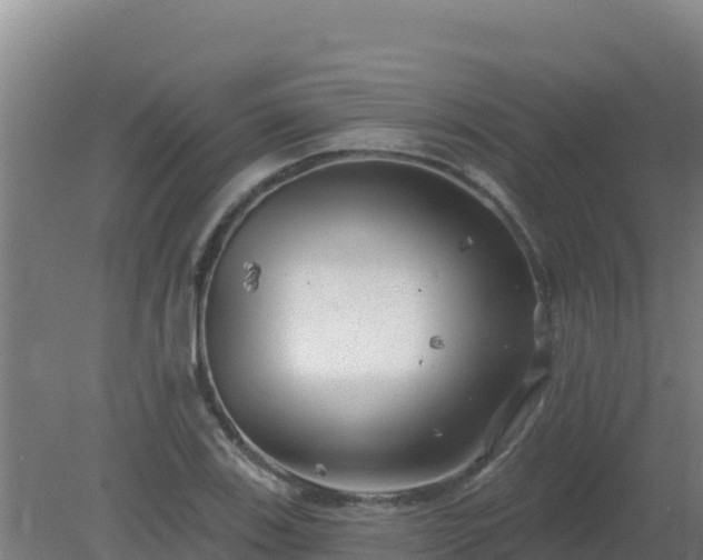 X0000080201123200612152033