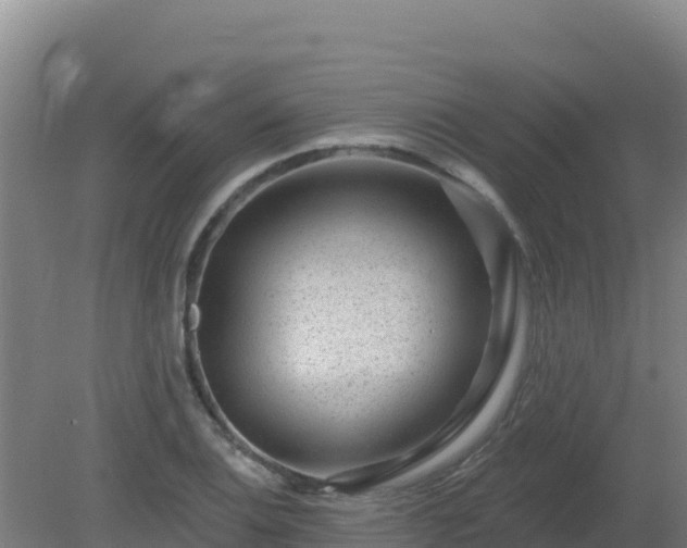 X0000080201124200612152033