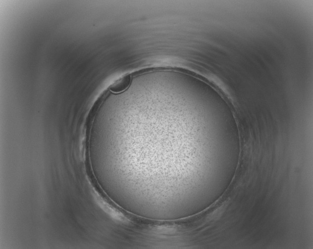 X0000080201126200612152033