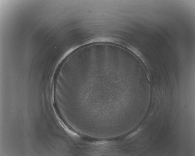 X0000080201127200612152033