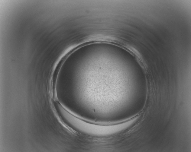 X0000080201128200612152033