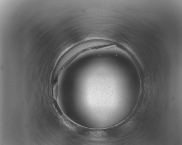 X0000080201129200612152033