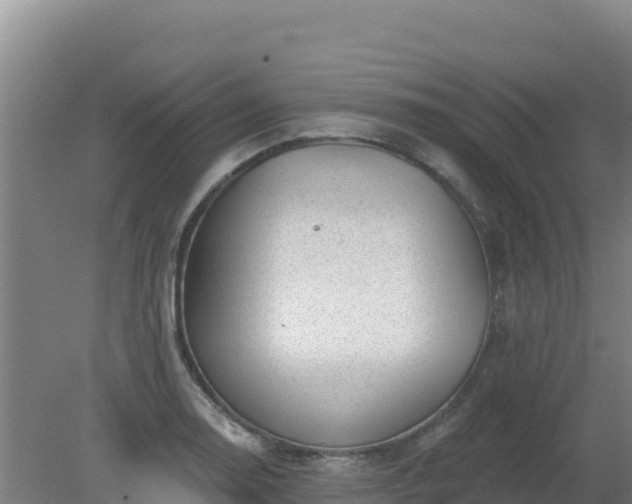 X0000080201130200612152033