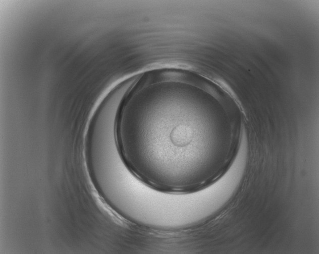 X0000080201132200612152033