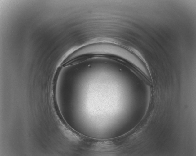 X0000080201133200612152033