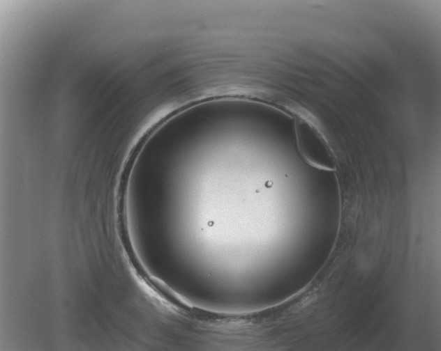 X0000080201135200612152033