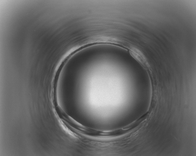 X0000080201136200612152033