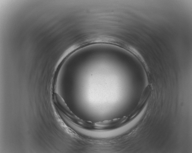 X0000080201138200612152033