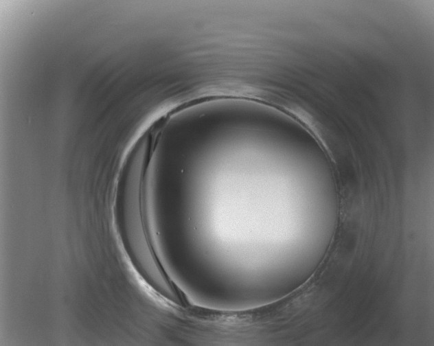 X0000080201139200612152033