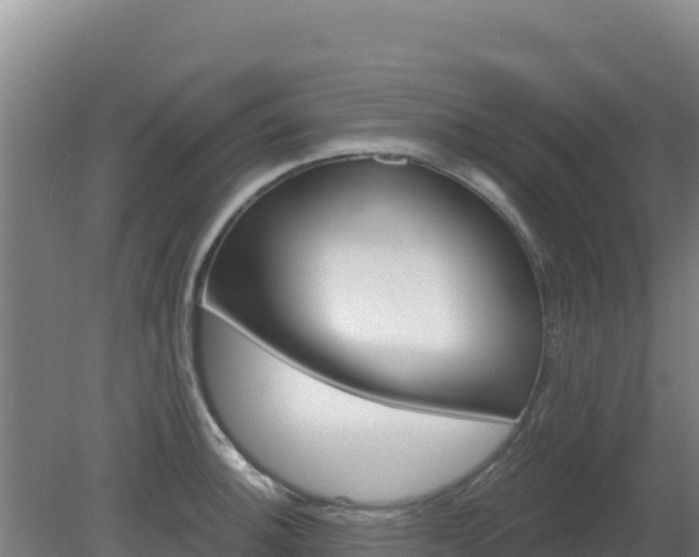 X0000080201140200612152033