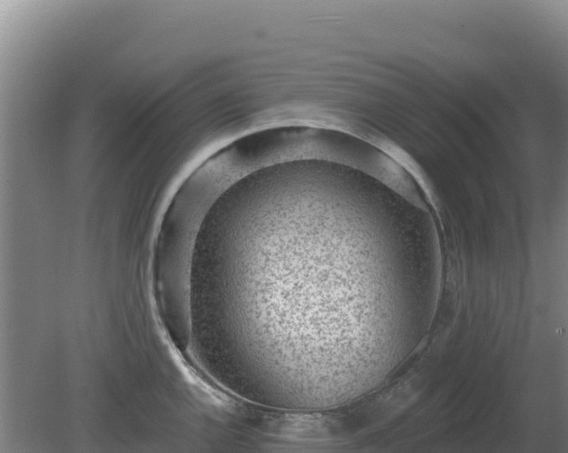 X0000080201144200612152033