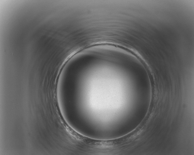 X0000080201145200612152033