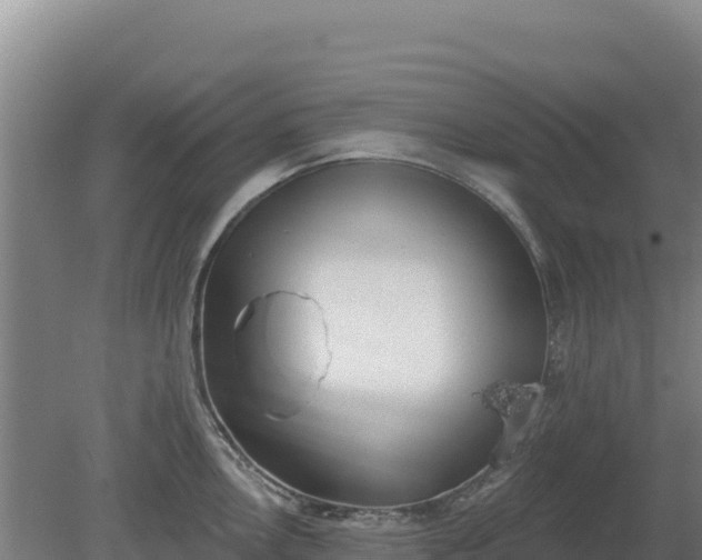 X0000080201146200612152033