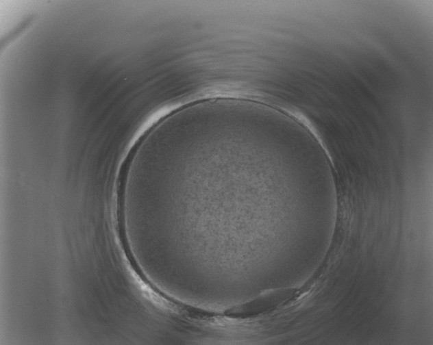 X0000080201147200612152033