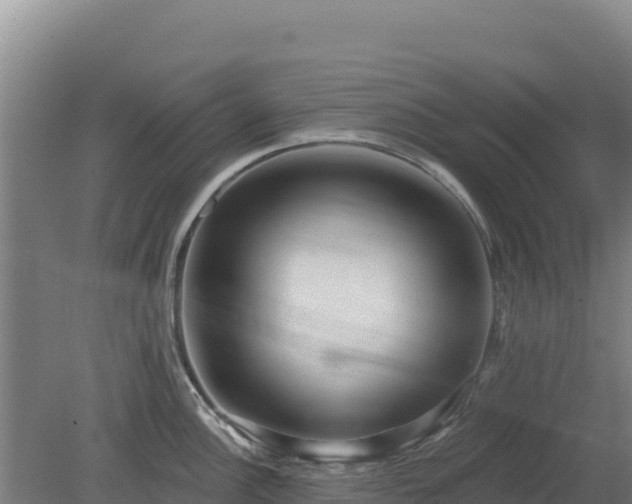 X0000080201148200612152033