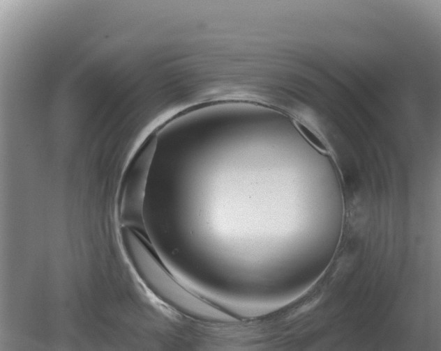 X0000080201149200612152033