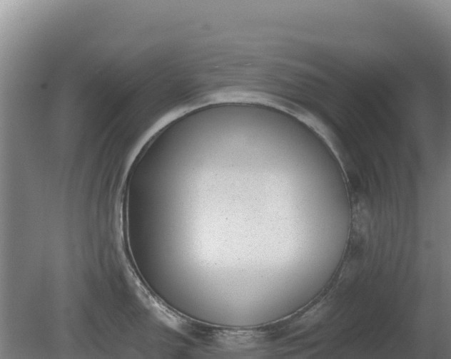 X0000080201150200612152033