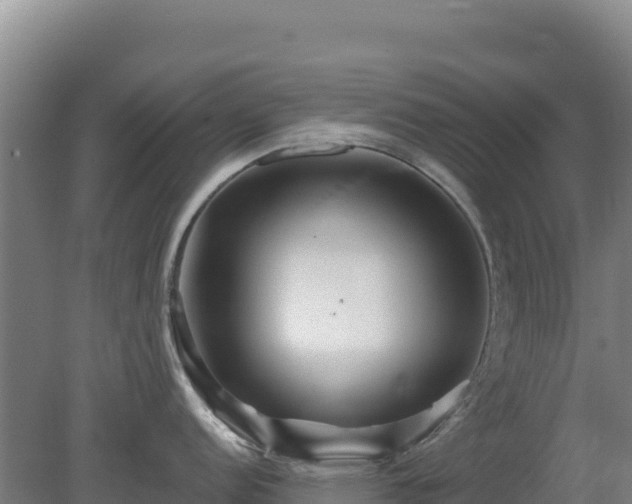 X0000080201152200612152033