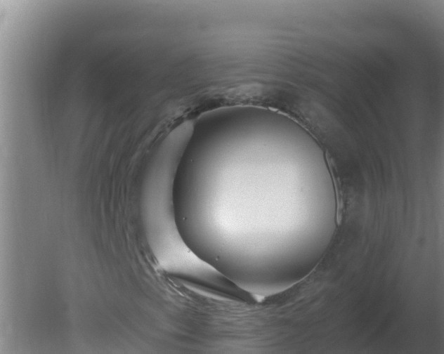 X0000080201153200612152033