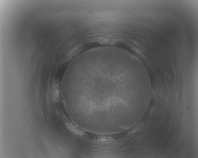 X0000080201154200612152033