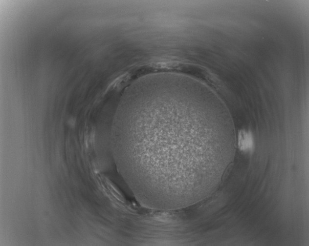 X0000080201155200612152033