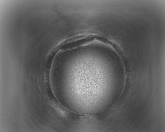 X0000080201159200612152033