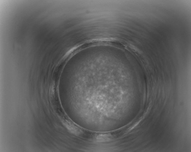 X0000080201161200612152032