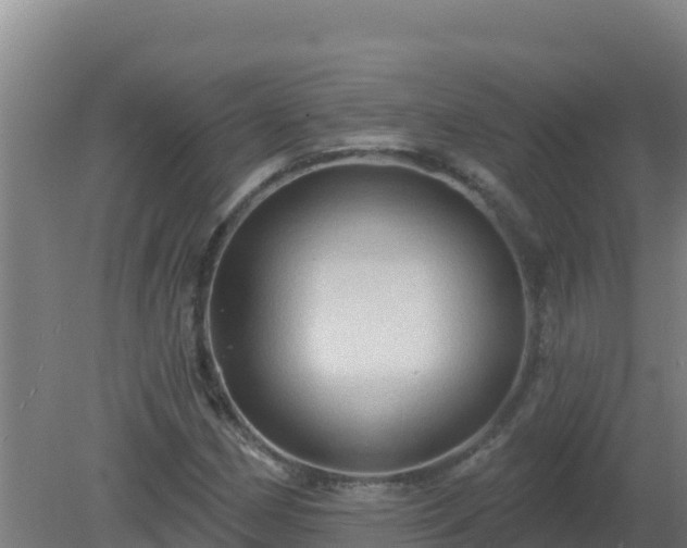 X0000080201162200612152032