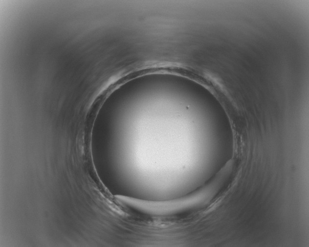 X0000080201165200612152032