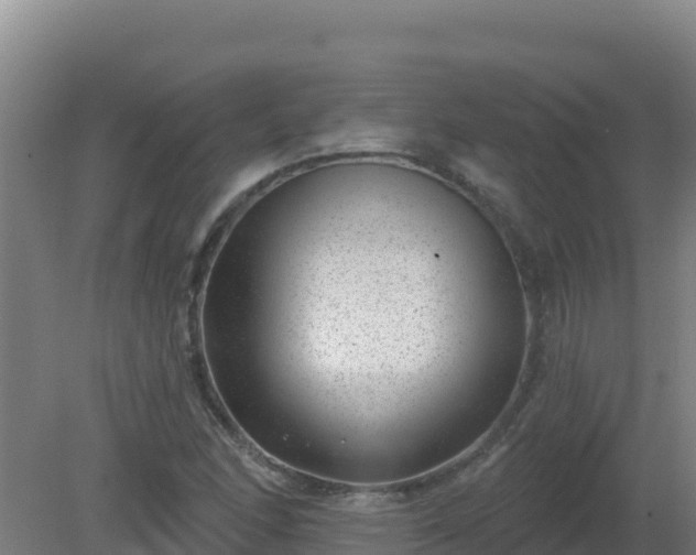 X0000080201166200612152032