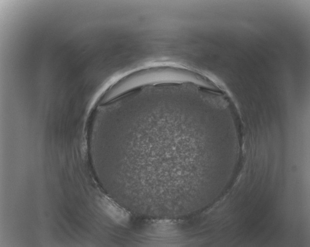 X0000080201167200612152032