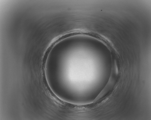 X0000080201168200612152032