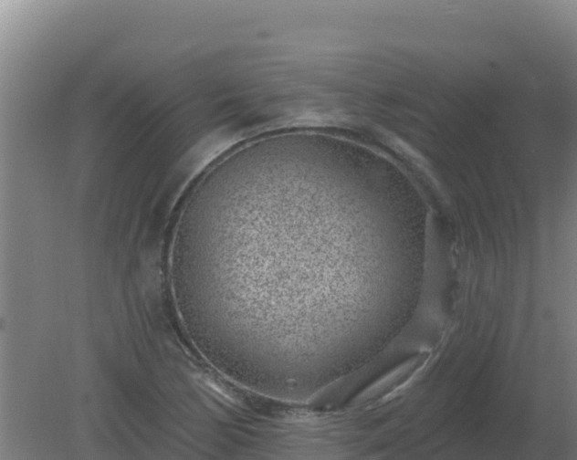 X0000080201170200612152032