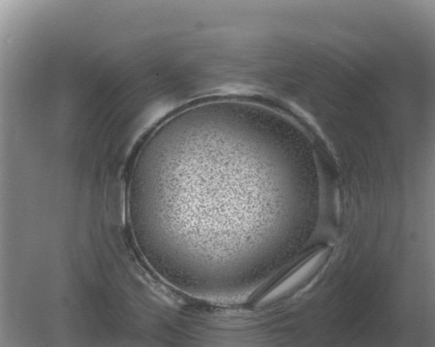 X0000080201171200612152032