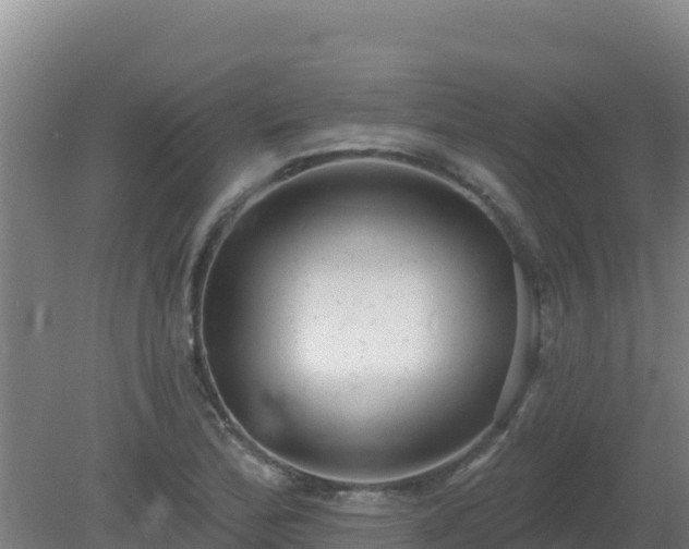 X0000080201172200612152032