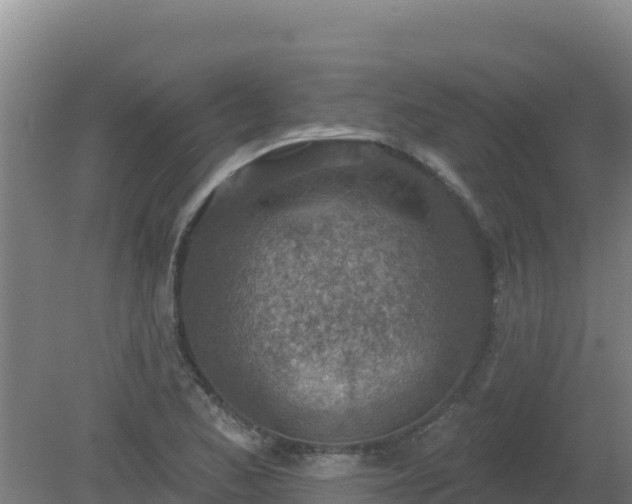 X0000080201173200612152032