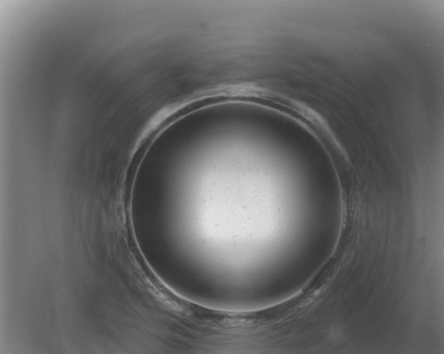 X0000080201176200612152032