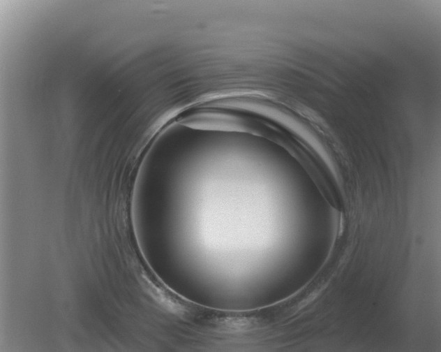 X0000080201177200612152032