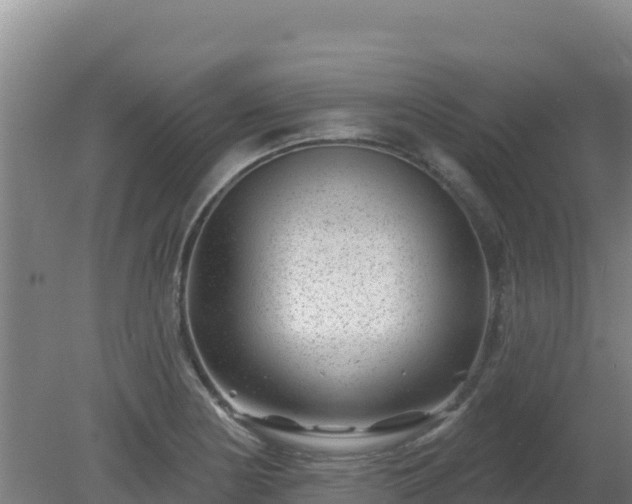 X0000080201178200612152032