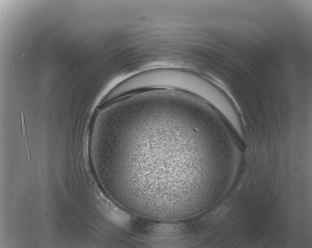 X0000080201179200612152032