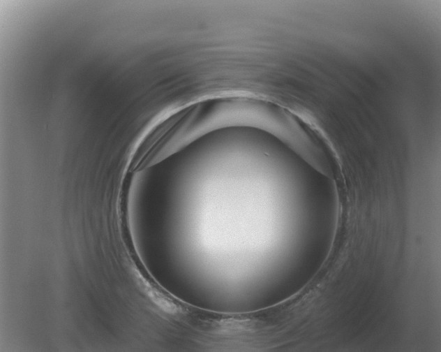 X0000080201181200612152032