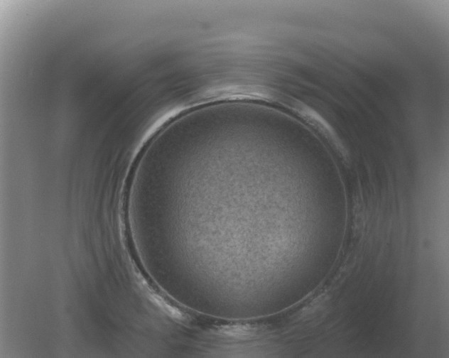 X0000080201182200612152032