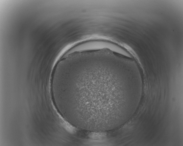 X0000080201183200612152032