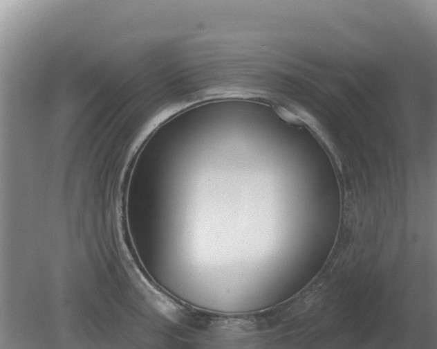 X0000080201187200612152032