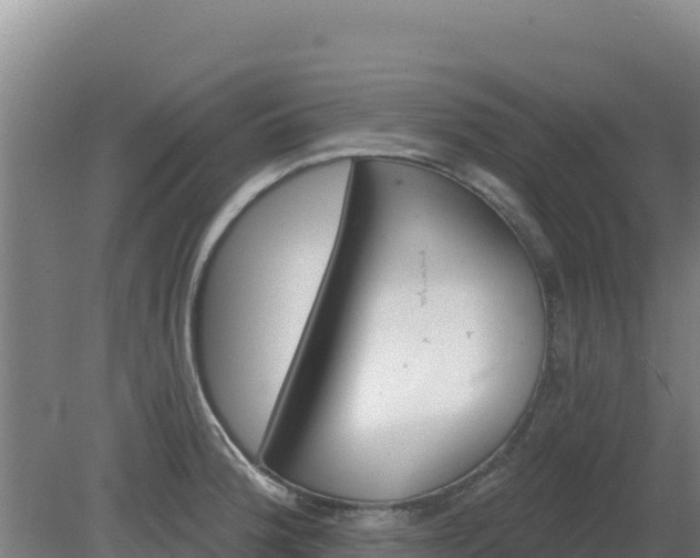 X0000080201188200612152032