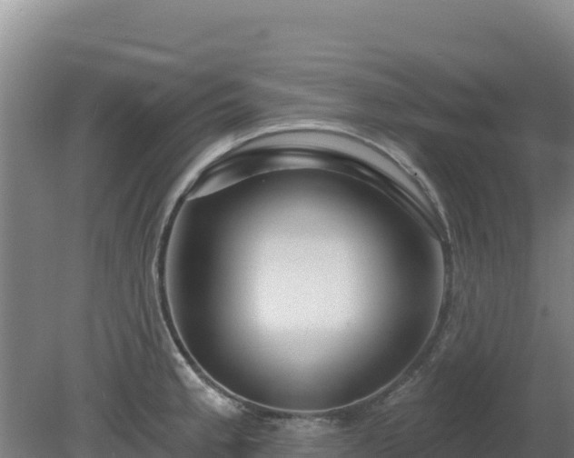 X0000080201189200612152032